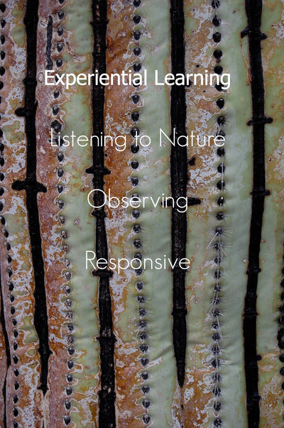 Choosing Experiential Learning