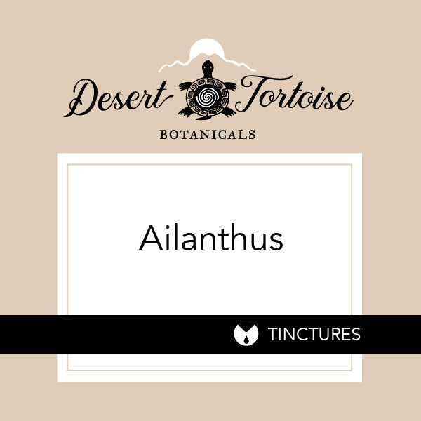 ailanthus altissima tincture Ailanthus Tincture 1oz w/dropper