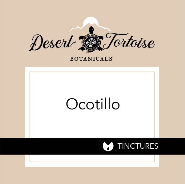 Ocotillo Tincture Desert Tortoise Botanicals
